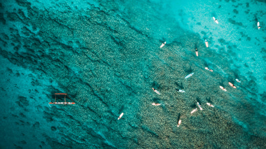 Voyage responsable : comment réduire son impact environnemental en voyageant ?