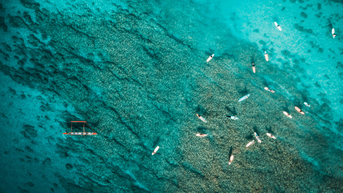 Voyage responsable : comment réduire son impact environnemental en voyageant ?