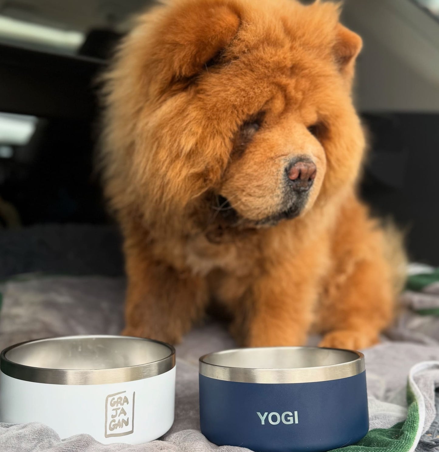 DOG BOWL - 32 OZ