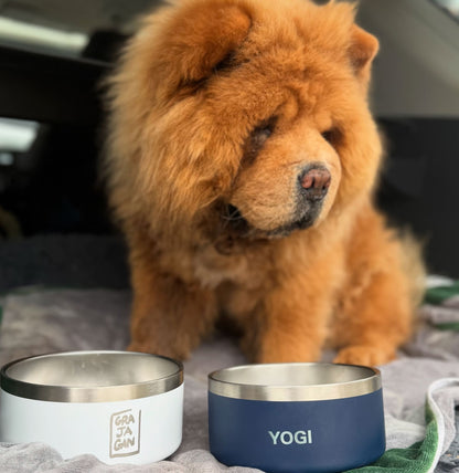 DOG BOWL - 32 OZ
